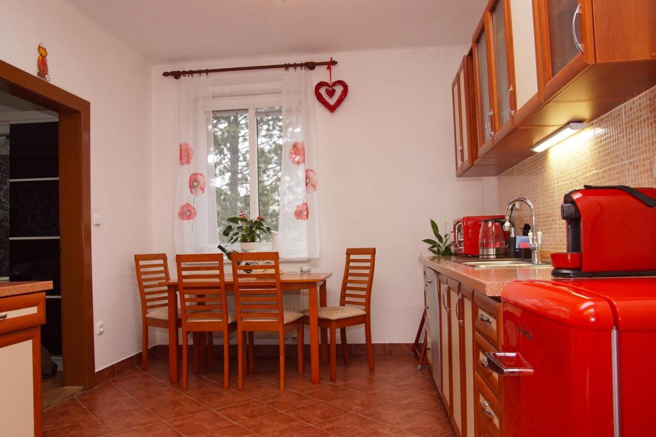 Luxusni Apartman Nmnm Family Nove Mesto na Morave Zewnętrze zdjęcie